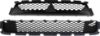 Picture of Bumper Grille