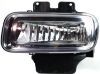 Picture of Fog Light