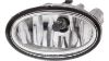 Picture of Fog Light