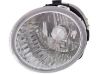 Picture of Fog Light