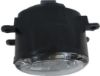 Picture of Fog Light
