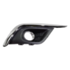 Picture of Fog Light Cover
