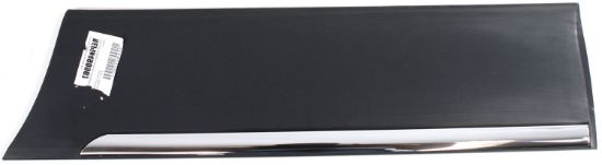 Picture of Door Molding and Beltlines