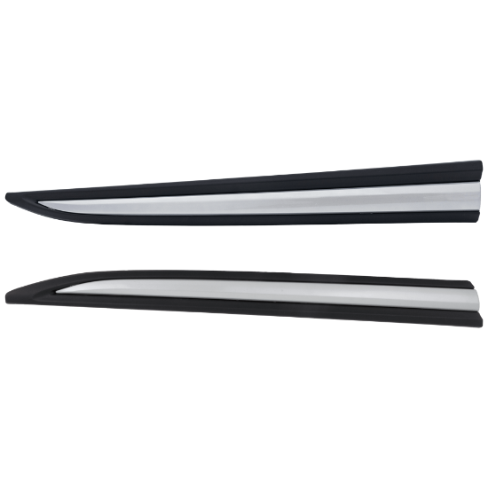 Picture of Door Molding and Beltlines