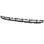 Picture of Bumper Grille