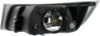 Picture of Fog Light