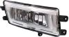 Picture of Fog Light