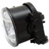 Picture of Fog Light