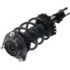 Picture of Shock Absorber and Strut Assembly
