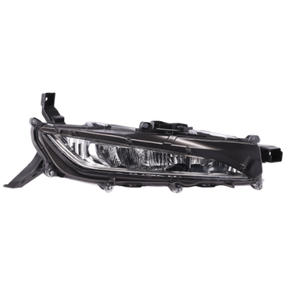 Picture of Fog Light