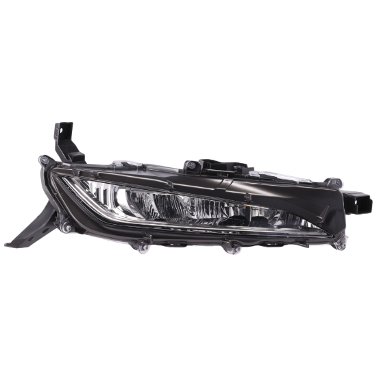 Picture of Fog Light