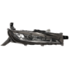 Picture of Fog Light