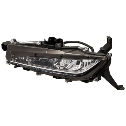 Picture of Fog Light