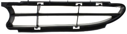 Picture of Bumper Grille
