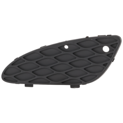 Picture of Fog Light Cover