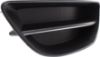 Picture of Fog Light Cover