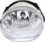Picture of Fog Light