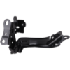 Picture of Hood Hinge