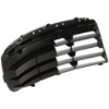 Picture of Bumper Grille