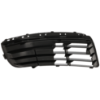 Picture of Bumper Grille