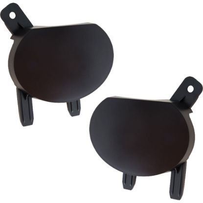 Picture of Fog Light Cover