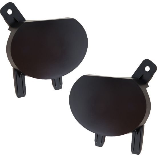 Picture of Fog Light Cover