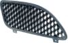 Picture of Grille Assembly