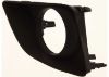Picture of Fog Light Trim