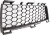 Picture of Bumper Grille