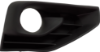 Picture of Fog Light Trim