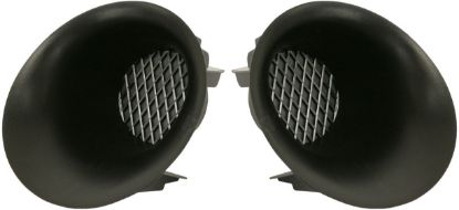 Picture of Fog Light Cover