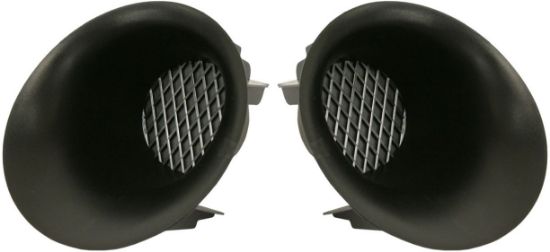 Picture of Fog Light Cover