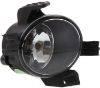 Picture of Fog Light
