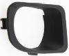 Picture of Fog Light Trim