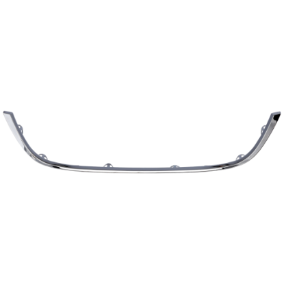 Picture of Grille Trim