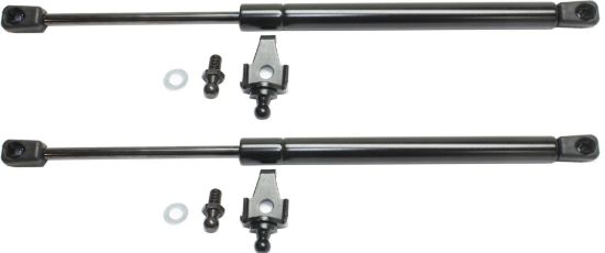 Picture of Lift Support