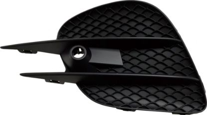 Picture of Fog Light Cover