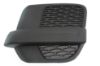 Picture of Fog Light Cover