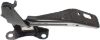 Picture of Hood Hinge