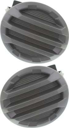 Picture of Fog Light Cover