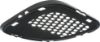 Picture of Bumper Grille