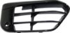 Picture of Bumper Grille