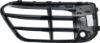 Picture of Bumper Grille