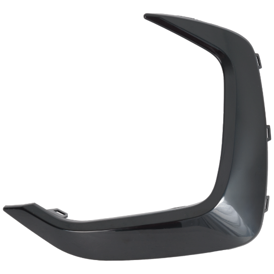 Picture of Grille Trim