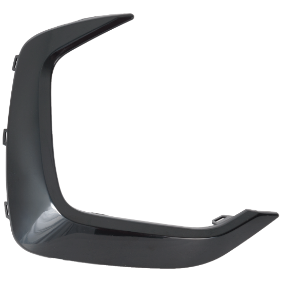 Picture of Grille Trim