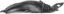 Picture of Fender Liner
