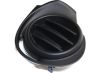 Picture of Fog Light Cover
