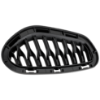 Picture of Bumper Grille