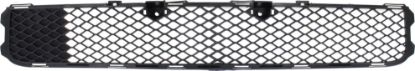 Picture of Bumper Grille