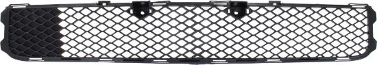 Picture of Bumper Grille